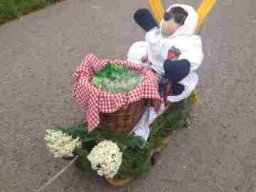 20160724Festumzug900Jahre